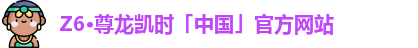 Z6·尊龙凯时